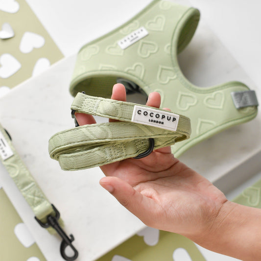 Cocopup London - Luxe Puppy Lead - Sage Heart