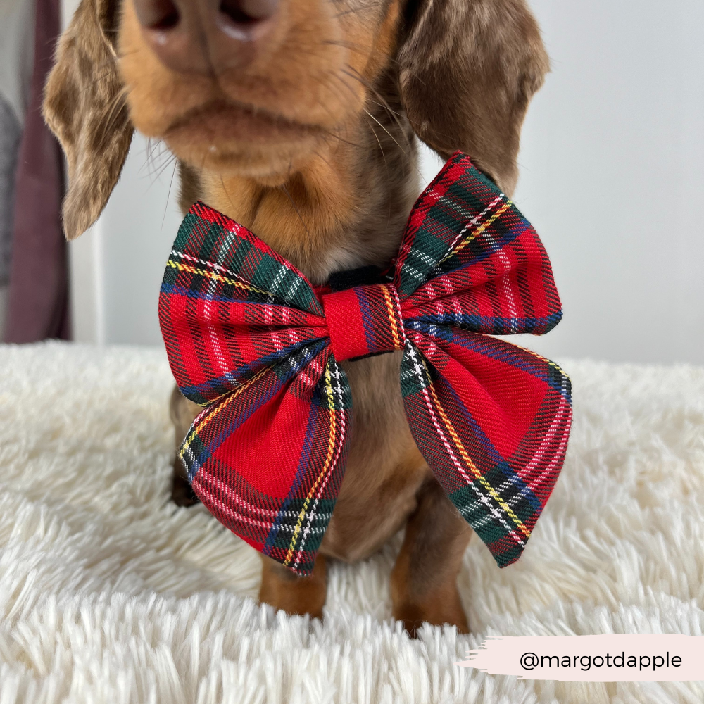 Cocopup London - Tartan Sailor Bow Tie