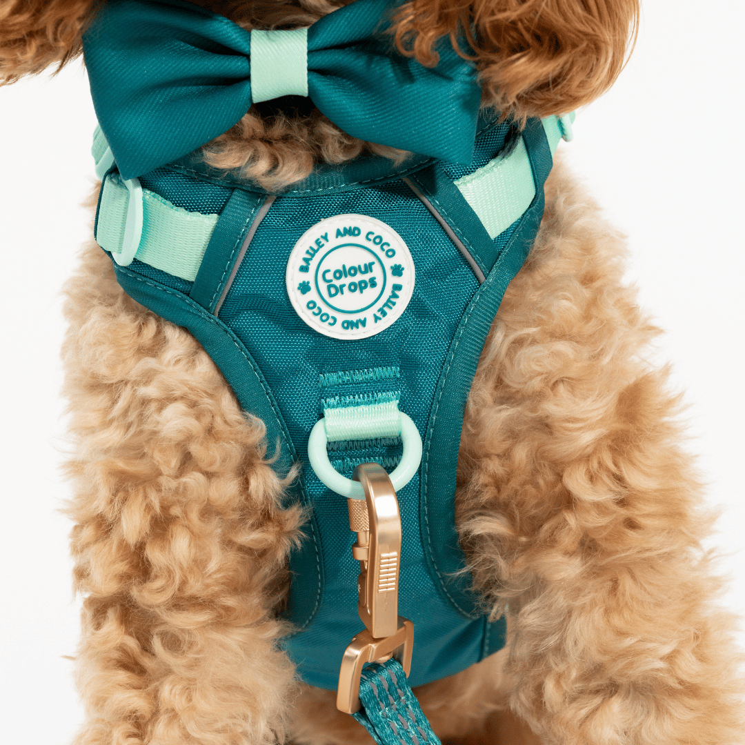 Bailey and Coco - Trail & Glow Dog Harness - COLOUR DROPS® - Ice Teal