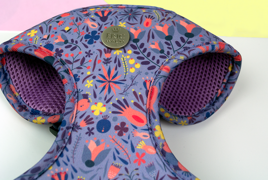 Close to the Bone Greeting Cards and Gifts - E005 Leilani Harness  Dog / Puppy Harness, Lead, Collar Set