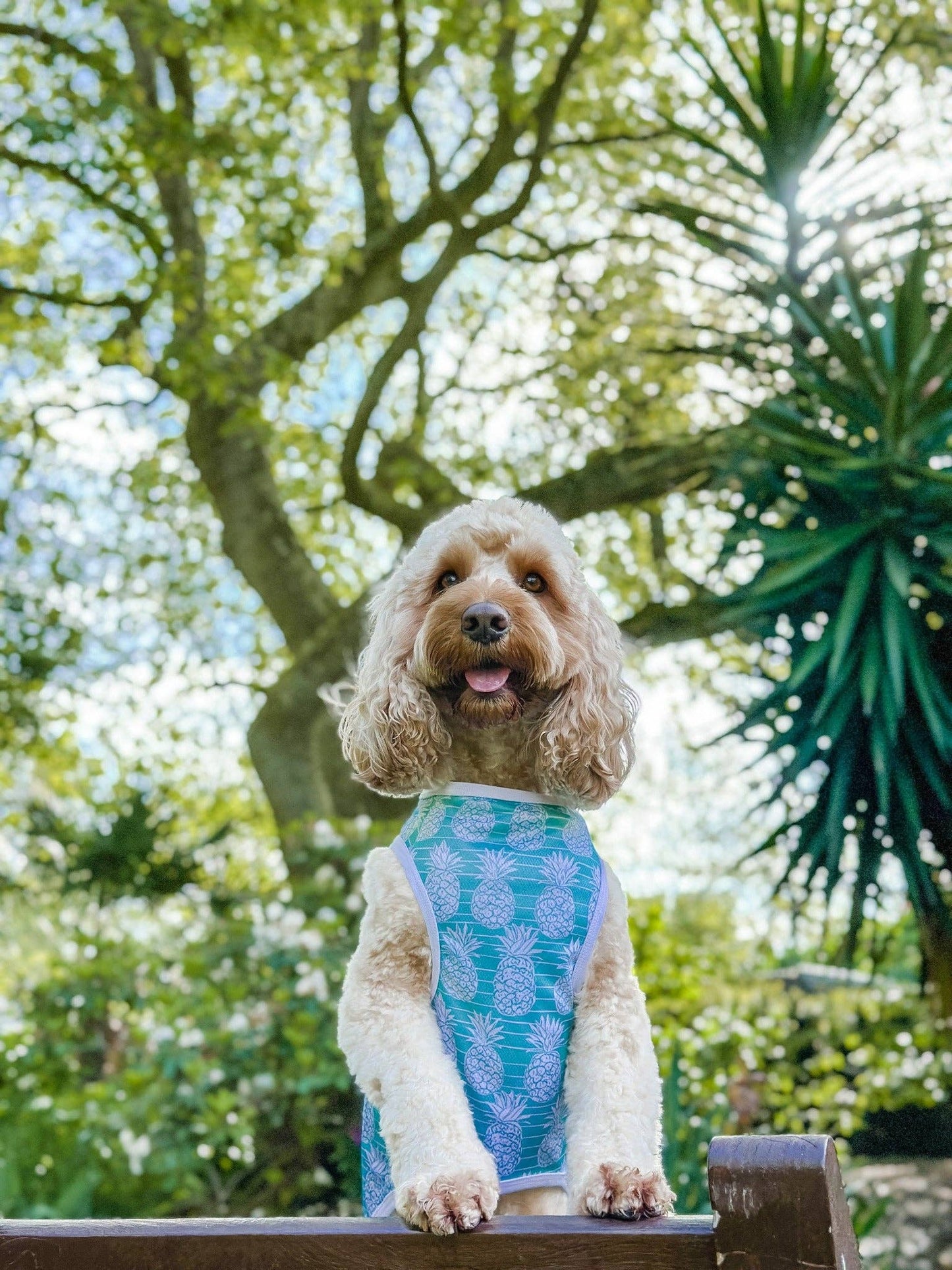 The Paw Print Boutique - The Pineapple Pawty Cooling Vest