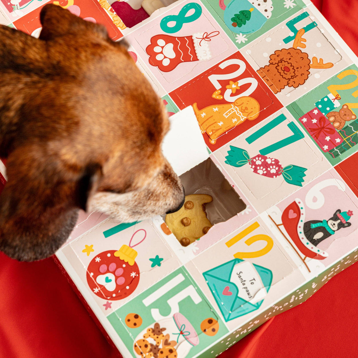 Fluff & Crumble - Christmas Advent Calendar for Dogs