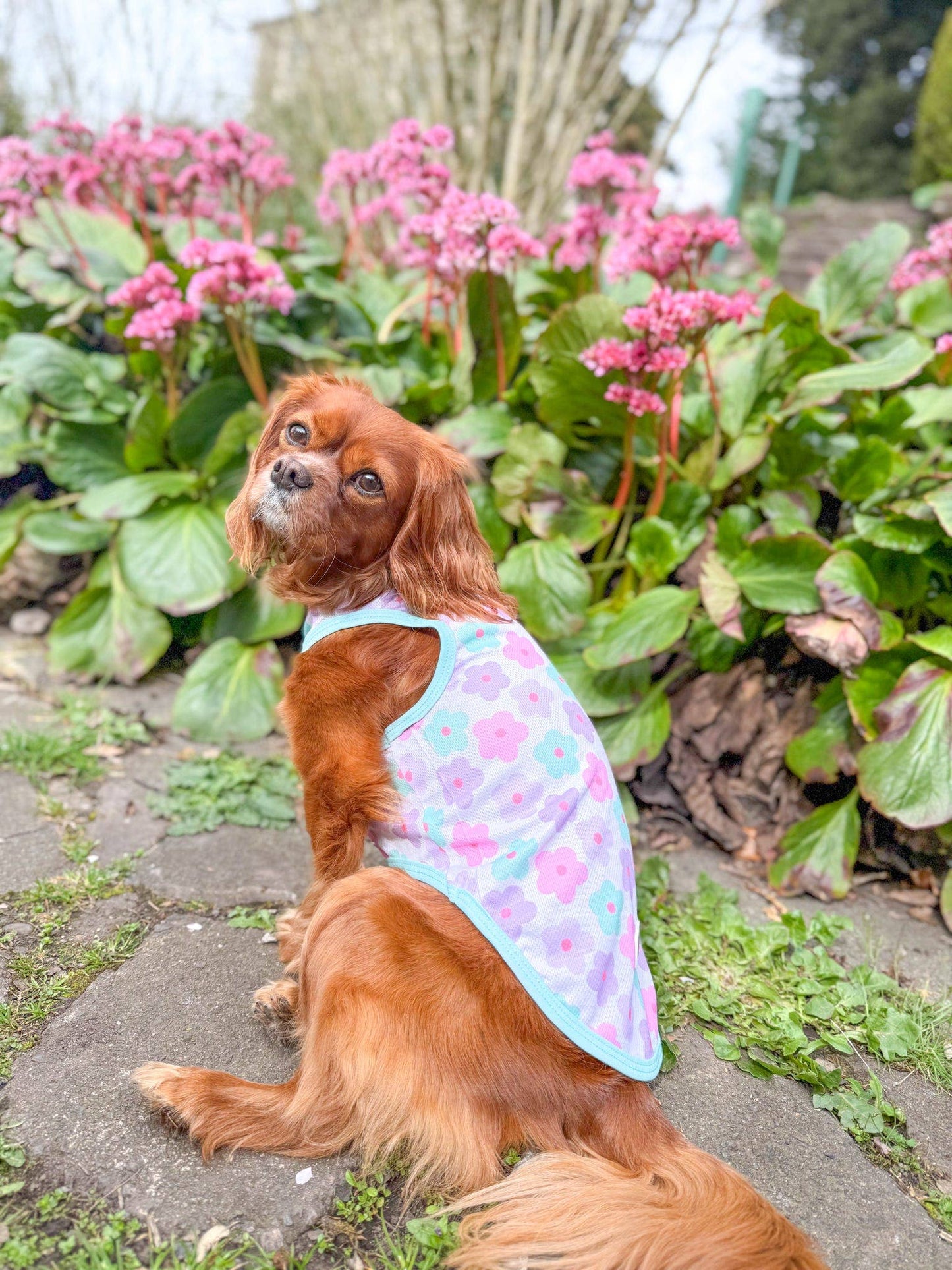 The Paw Print Boutique - The Minty Meadows / Flower Power Cooling Vest