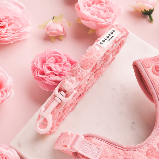Cocopup London - Peony Pup Lead