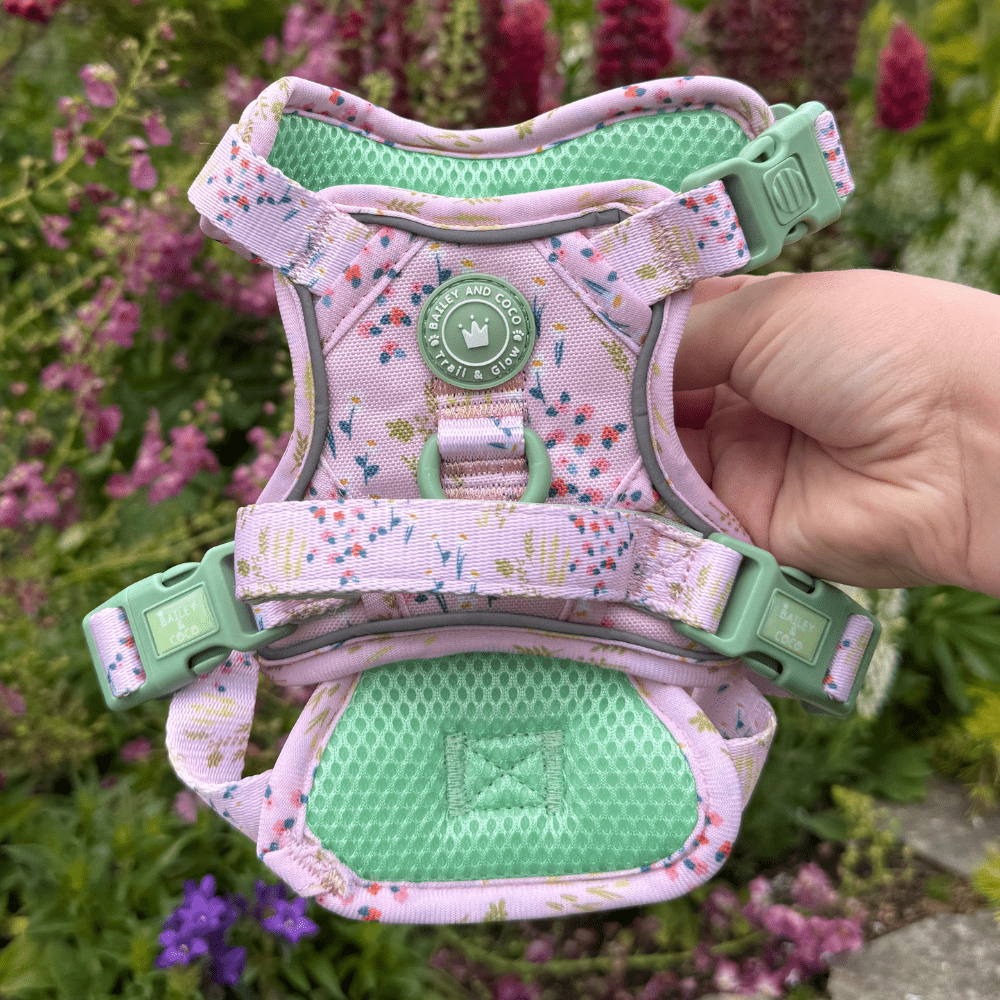 Bailey and Coco - Trail & Glow Dog Harness - COLOUR DROPS® - Pick Me