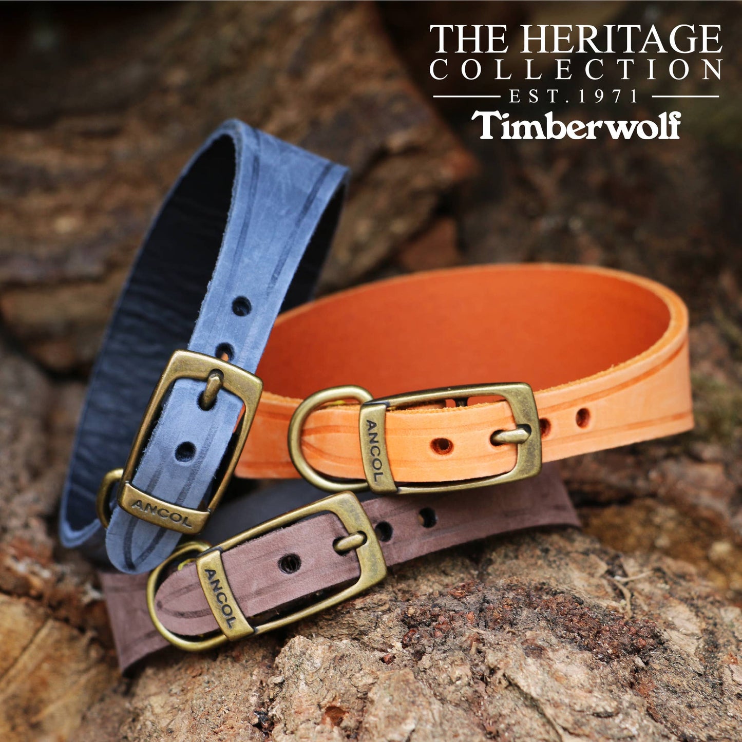 Ancol Pet Products Ltd - Timberwolf Hound Collar ( Size 34-43cm)