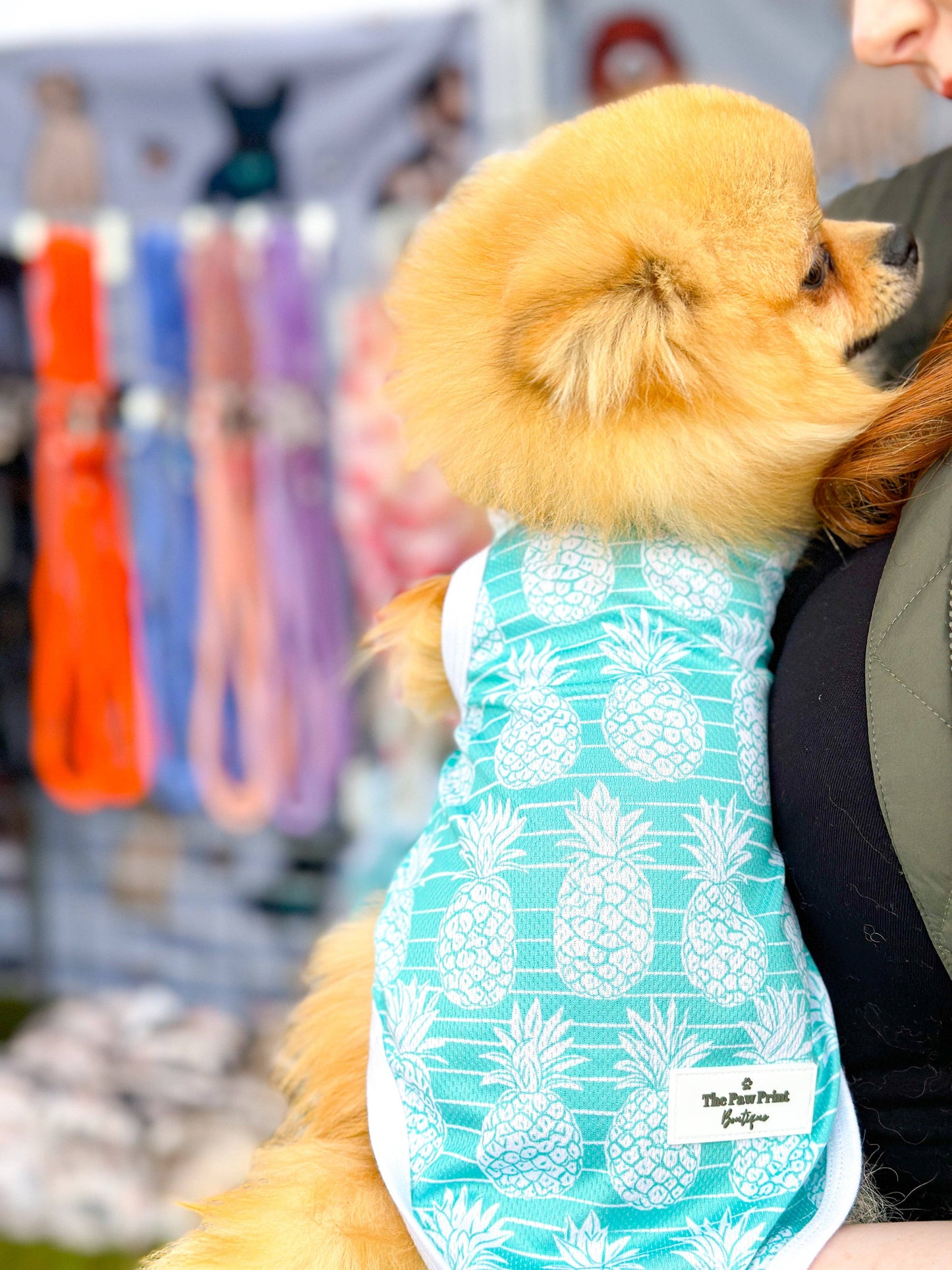 The Paw Print Boutique - The Pineapple Pawty Cooling Vest