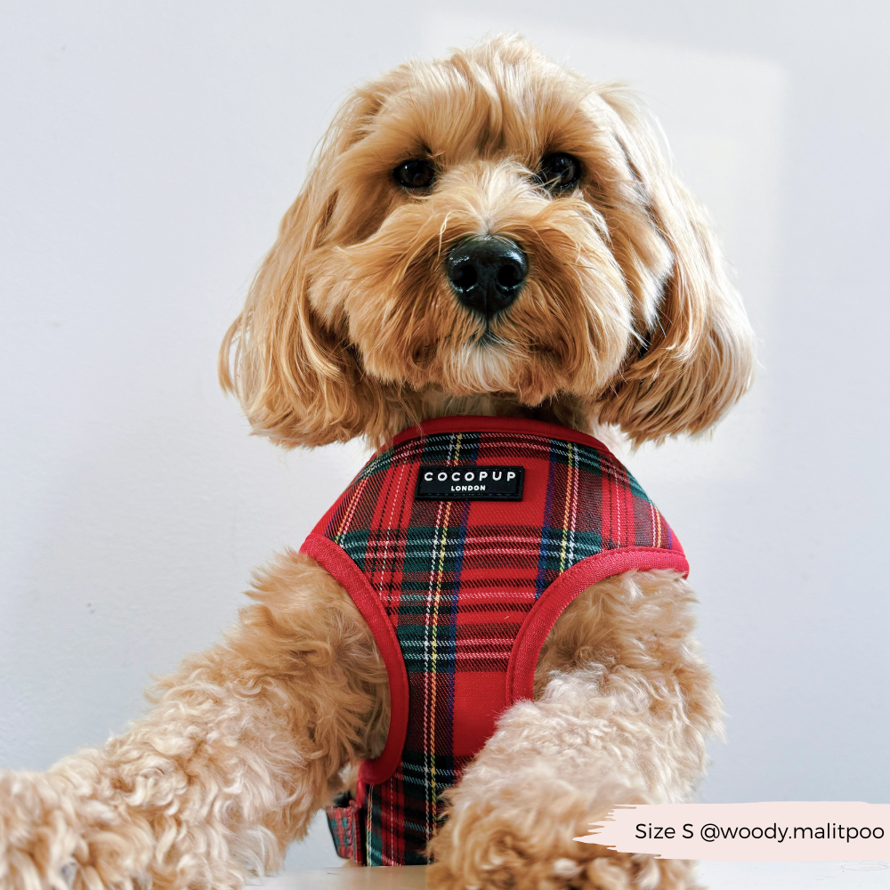 Cocopup London - Tartan Adjustable Neck HARNESS