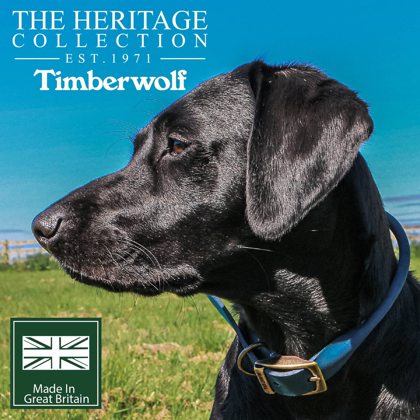 Ancol Pet Products Ltd - Timberwolf Round Collar
