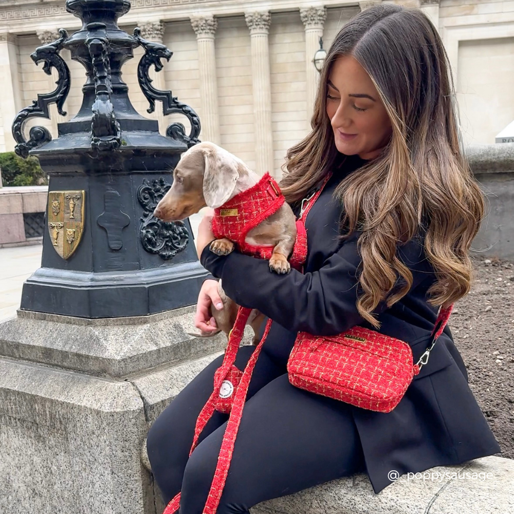Cocopup London - Red Textured Tweed Poop Bag Holder
