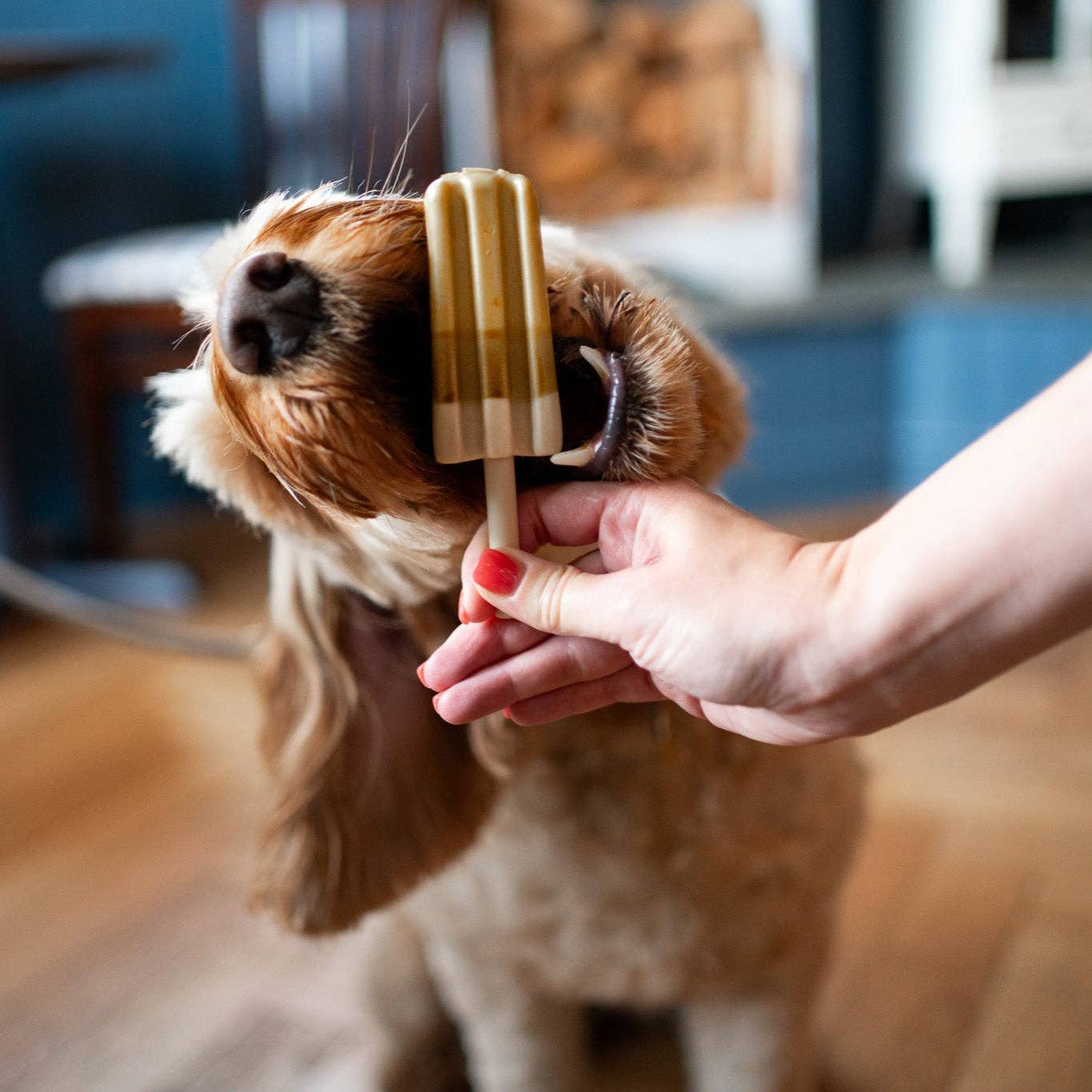 The Canine Menu - Pup Ice Lollies