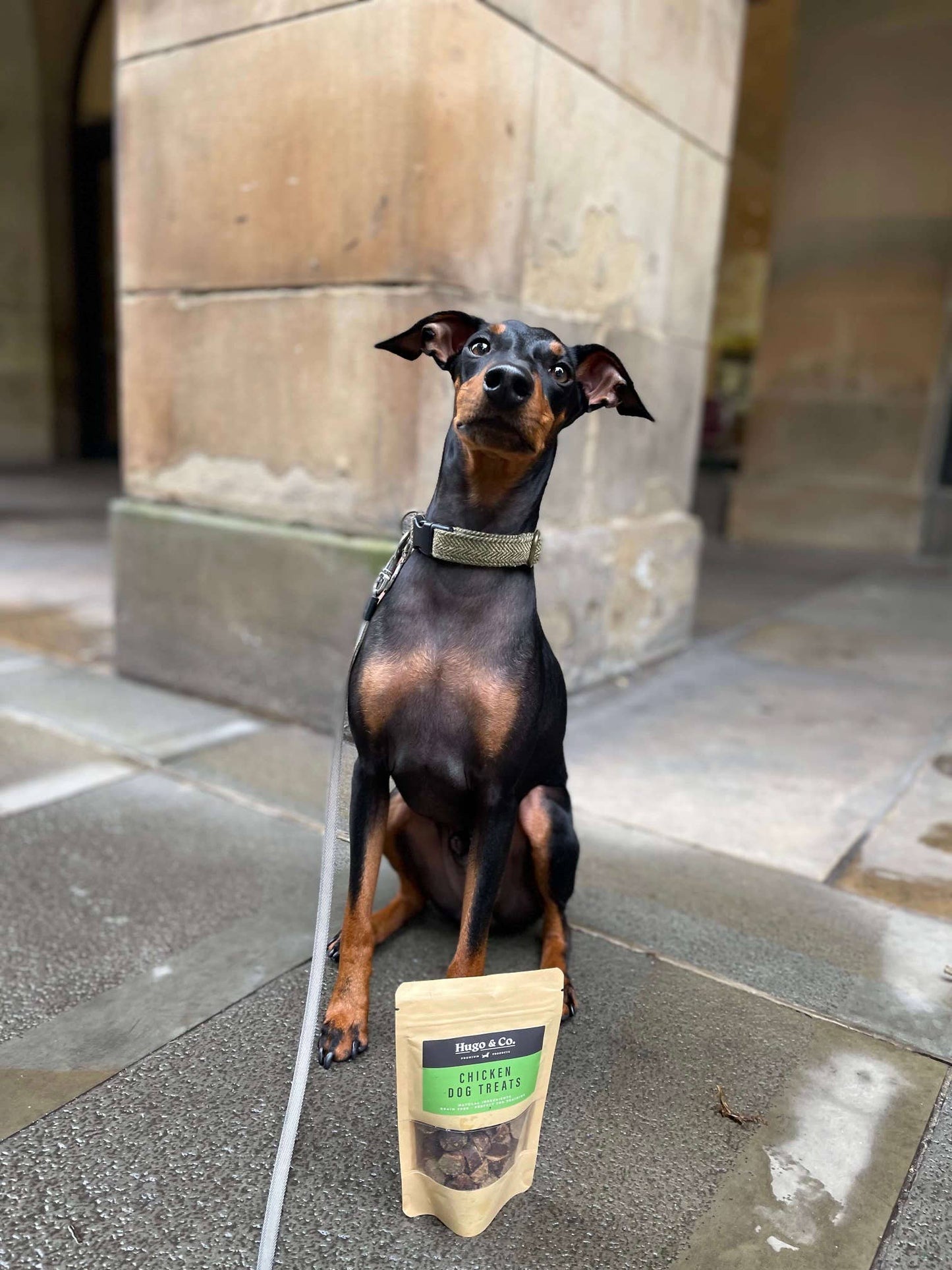 Hugo & Co Dog Treats - Chicken Dog Treats