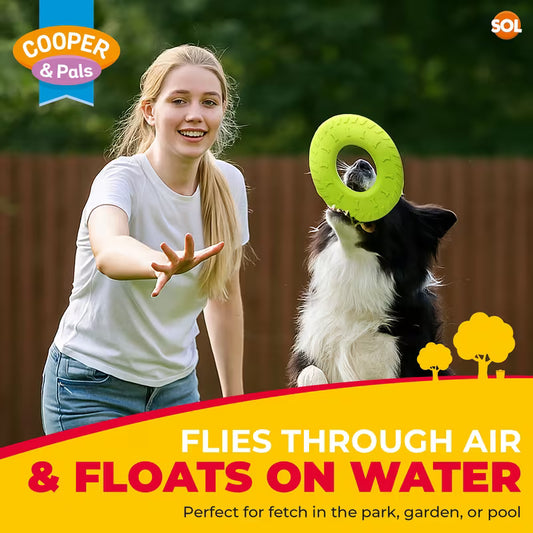 Flying Ring - Throw & Fetch