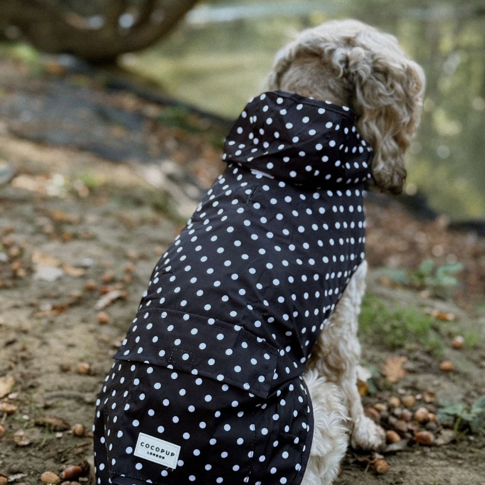 Cocopup London - Dog Raincoat - Black Polka Dot