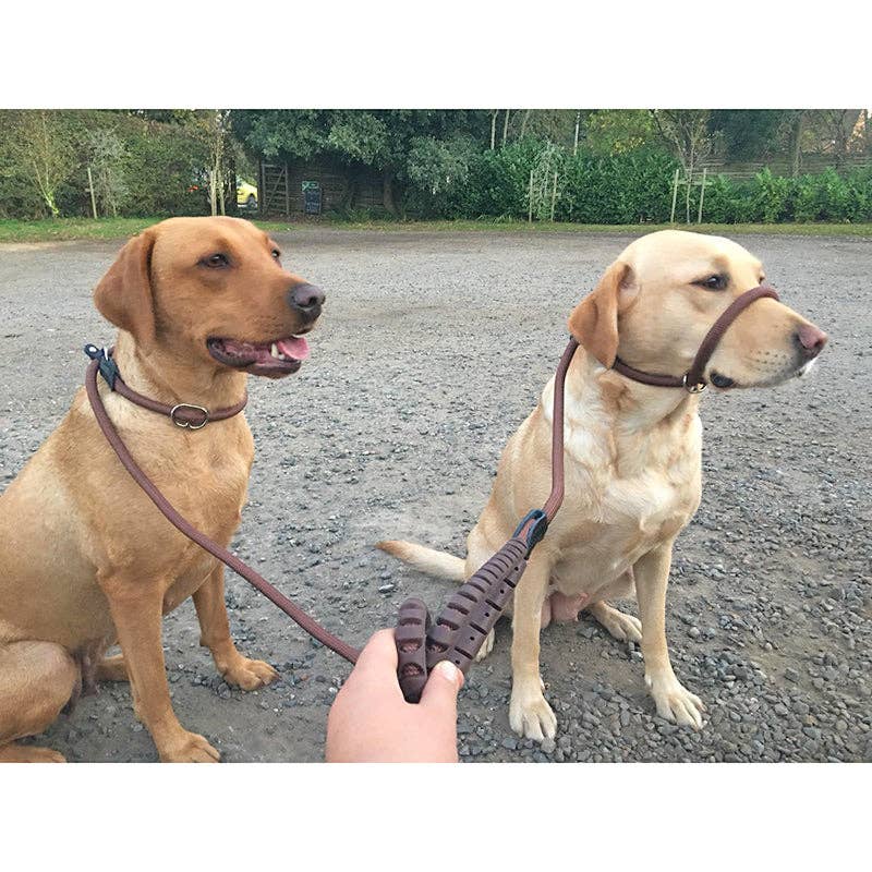 Miro & Makauri - Dog Slip Lead w Figure 8 Training Aid by Miro & Makauri "RUBBER HANDLE GRIP"