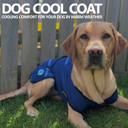 Ancol Pet Products Ltd - Cooling Dog Coat