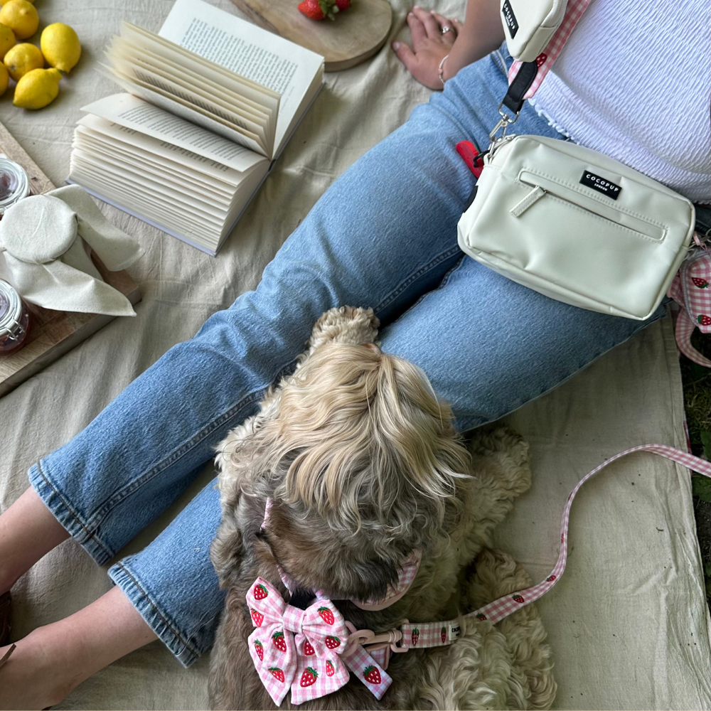Cocopup London - Strawberry Picnic Pup Sailor Bow Tie