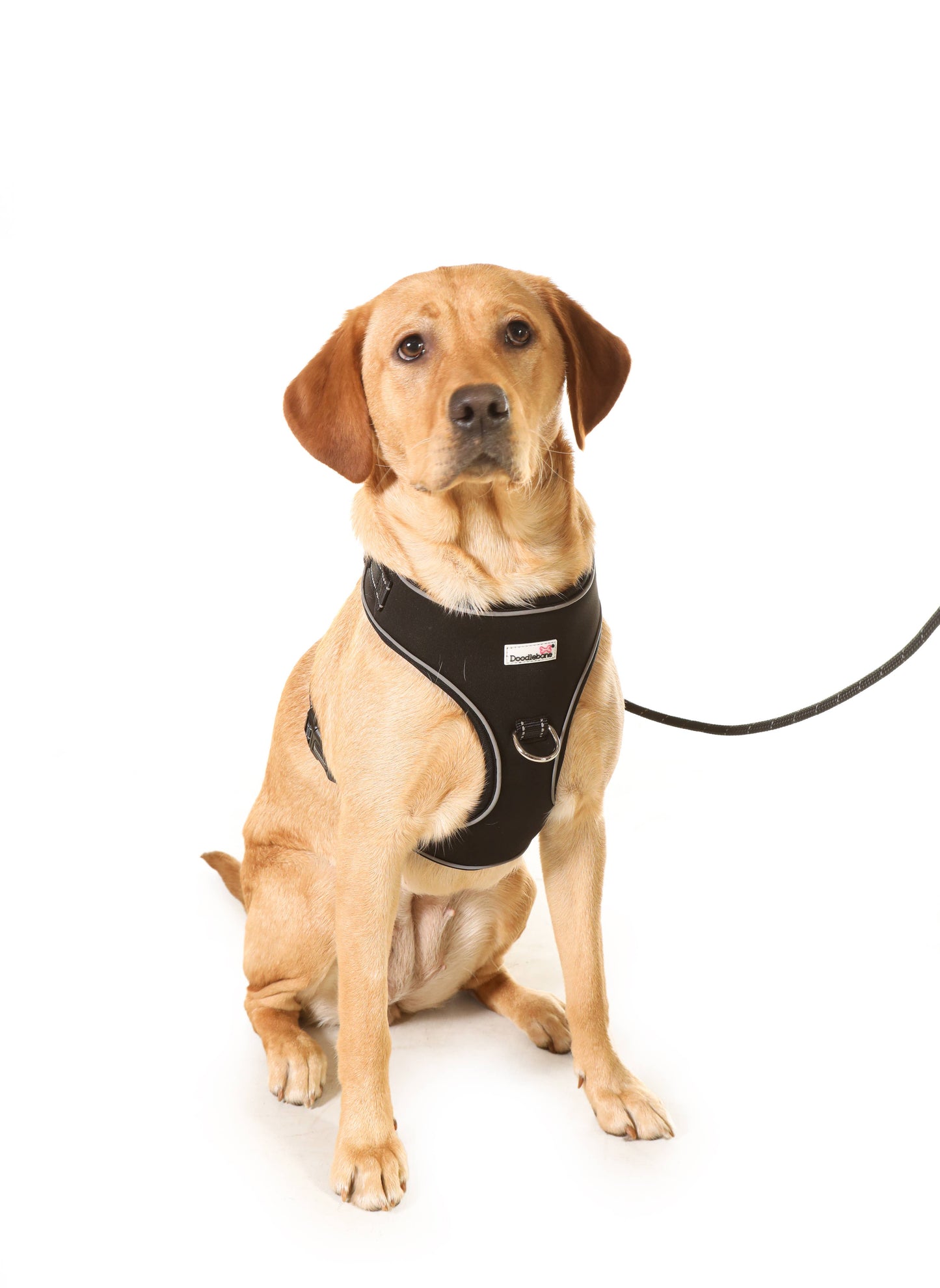Doodlebone - Adjustable Airmesh Dog Harness