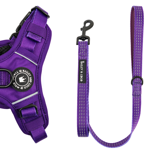 Bailey and Coco - Trail & Glow® Fabric Dog Lead 5ft - The Purple One