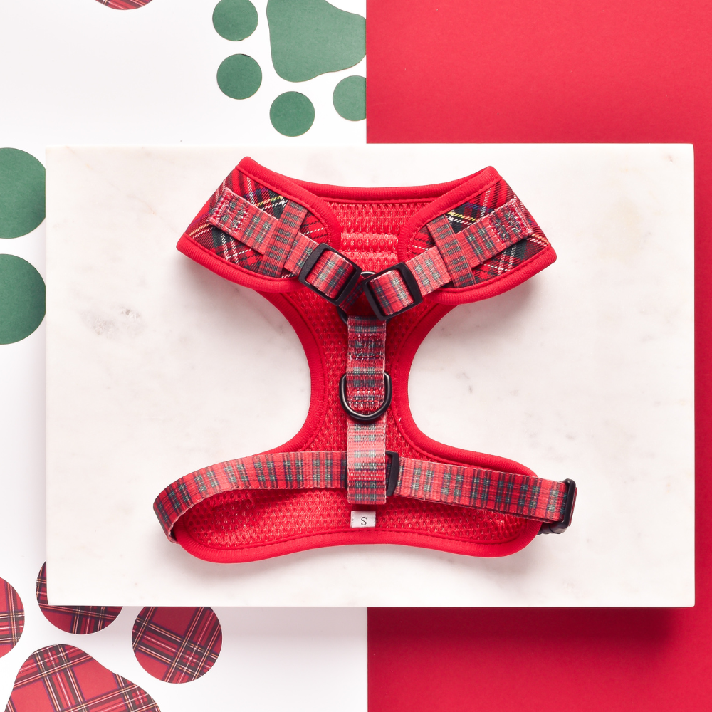 Cocopup London - Tartan Adjustable Neck HARNESS
