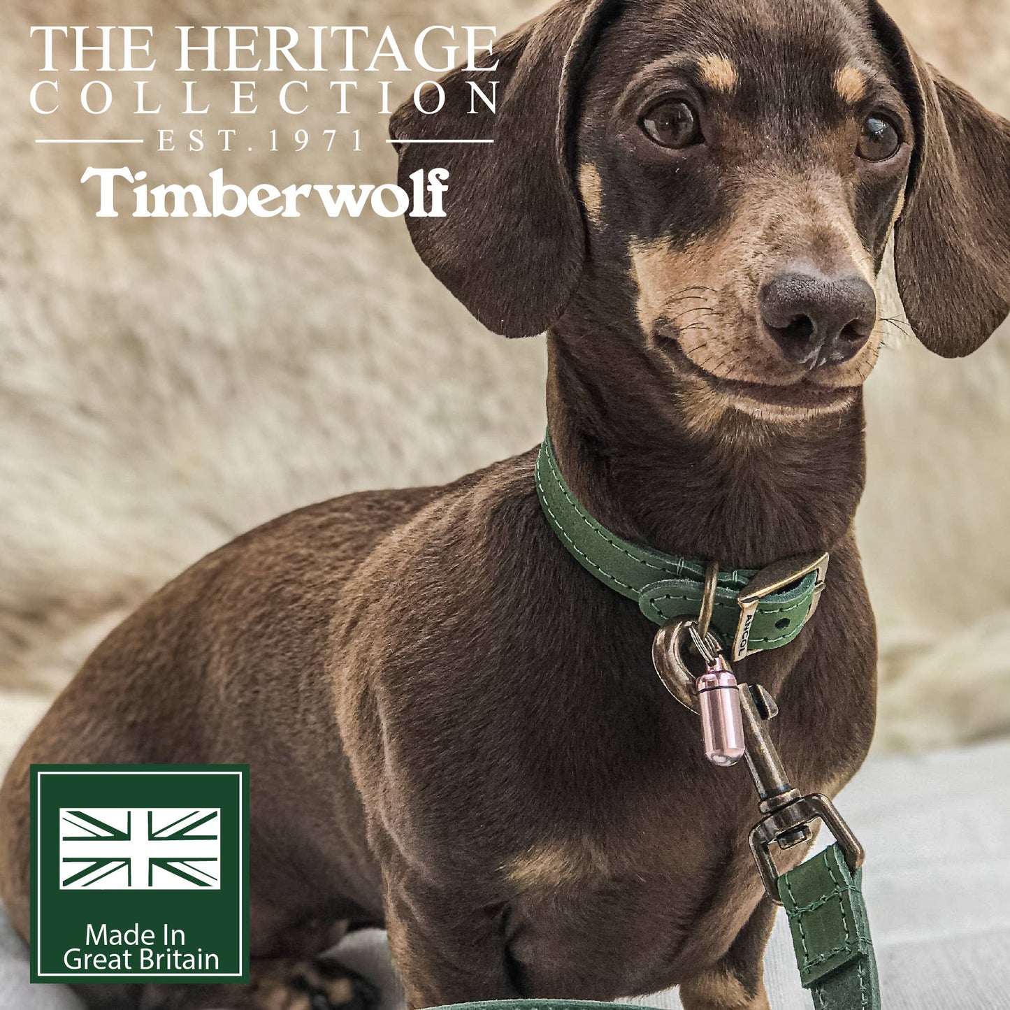 Ancol Pet Products Ltd - Timberwolf Leather Collar Green