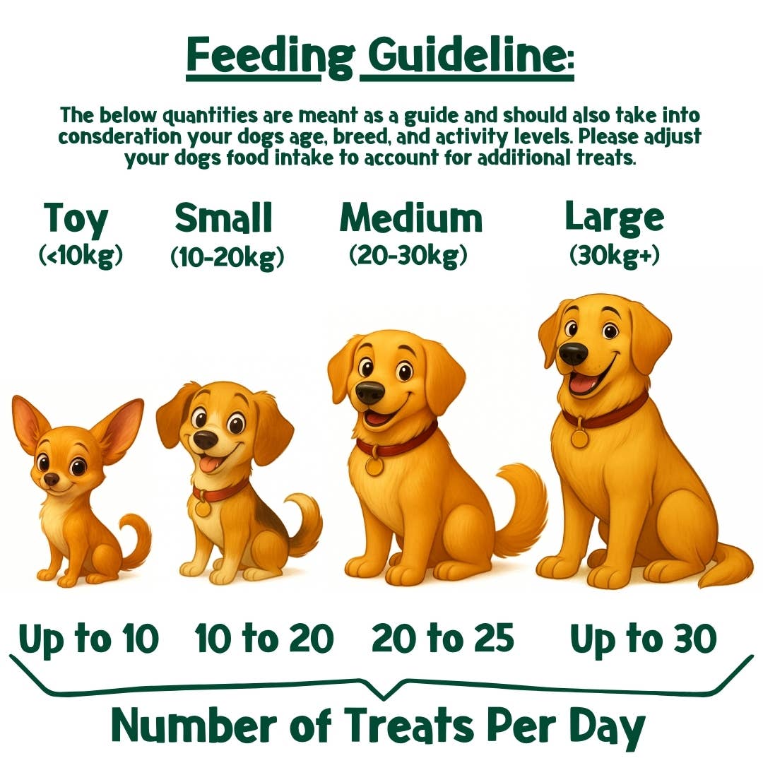 PARK LiFE - Cake-Bix Dog Biscuits Birthday Cake Flavour 100g