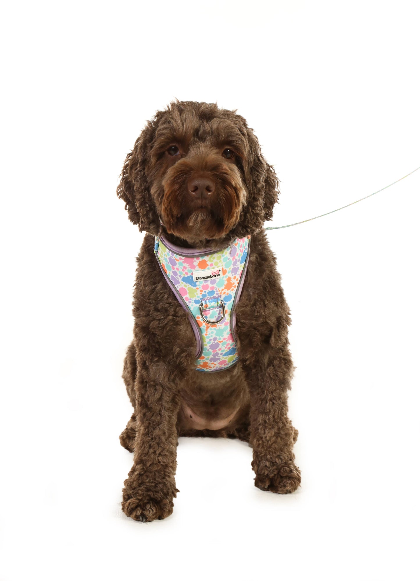 Doodlebone - Adjustable Airmesh Dog Harness