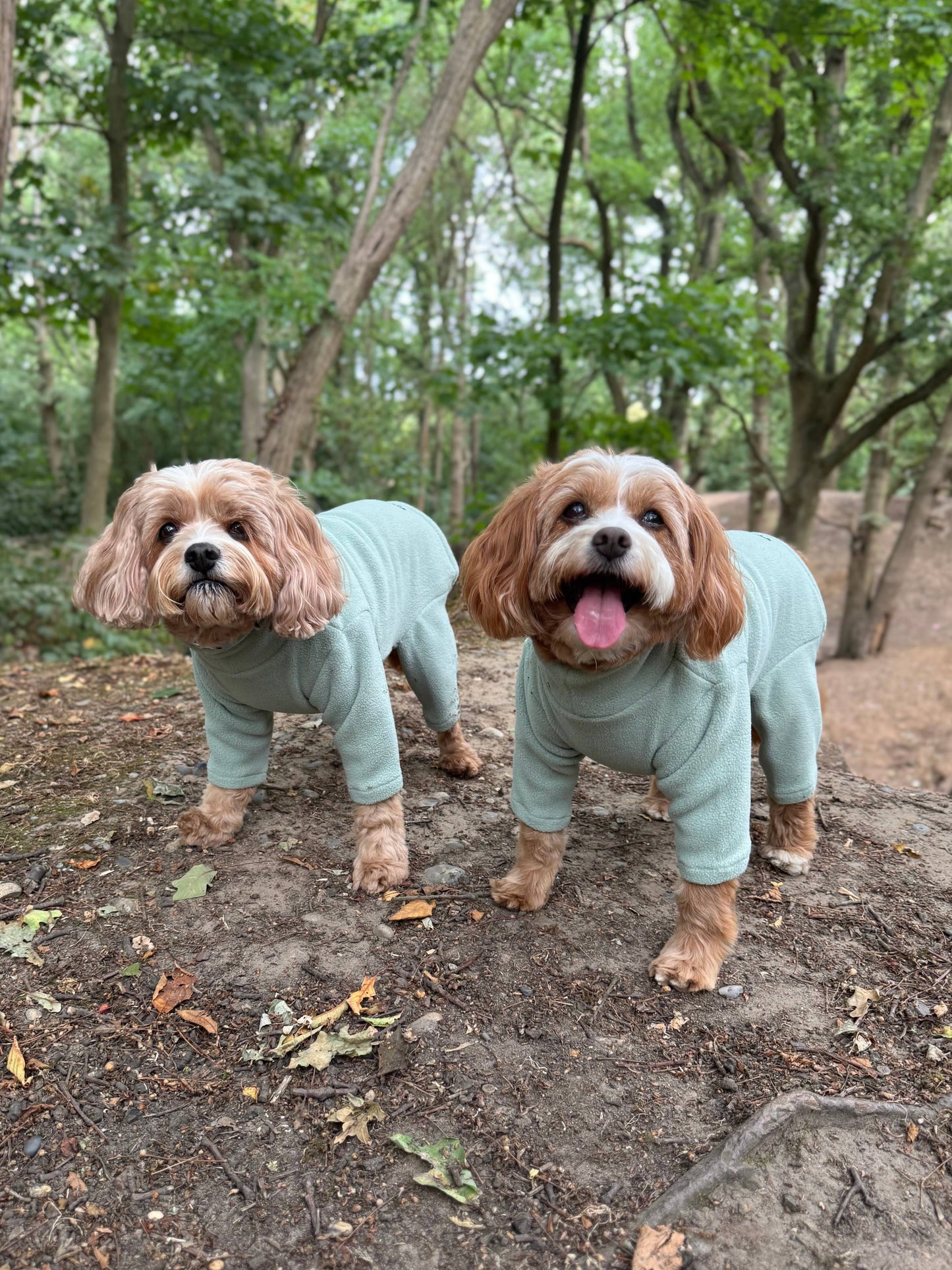 Pet Wiz - Four Legged Dog Fleeces - Wide Range of Sizes & Colours