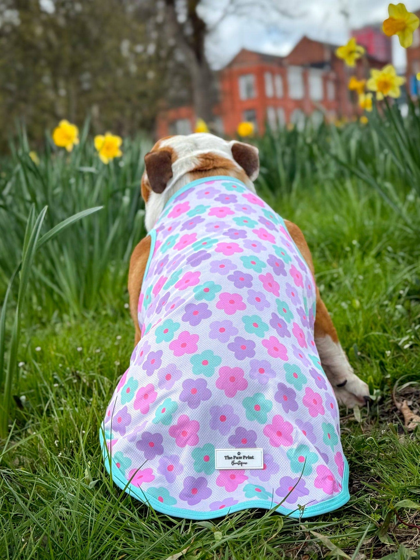 The Paw Print Boutique - The Minty Meadows / Flower Power Cooling Vest