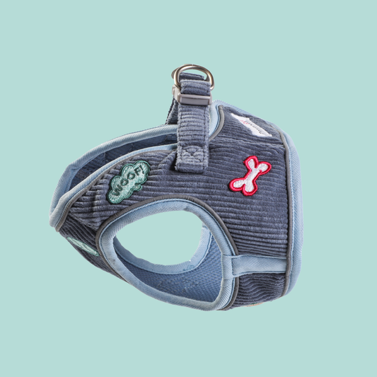 Doodlebone - Dinky Dog Snappy Harness
