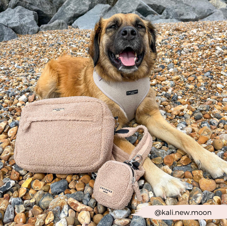 Cocopup London - Treat Pouch - Teddy Rupert