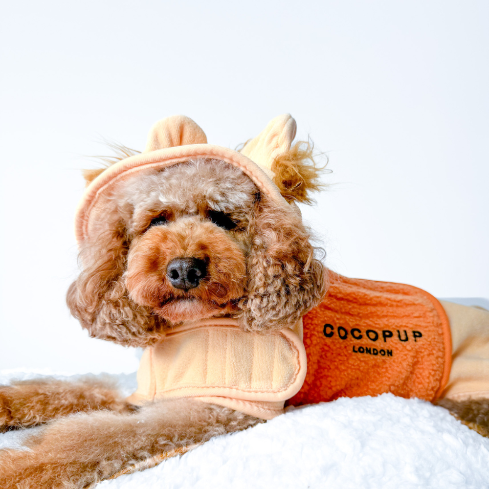 Cocopup London - Roary the Lion Drying Robe