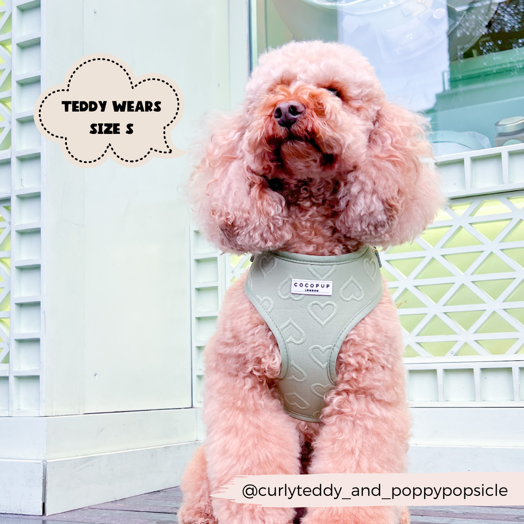 Cocopup London - Luxe Adjustable Neck Harness - Sage Heart