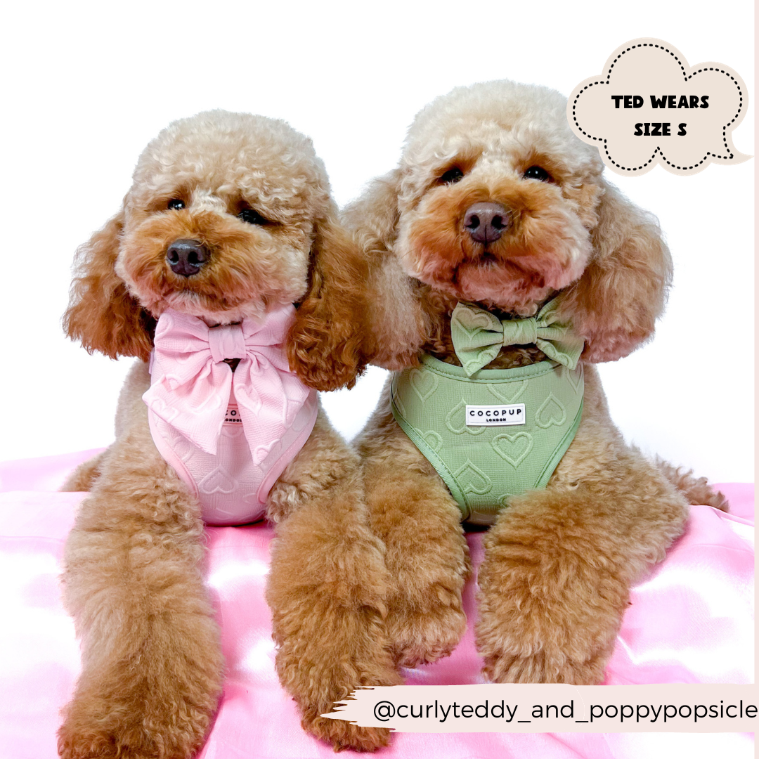 Cocopup London - Luxe Adjustable Neck Harness - Sage Heart
