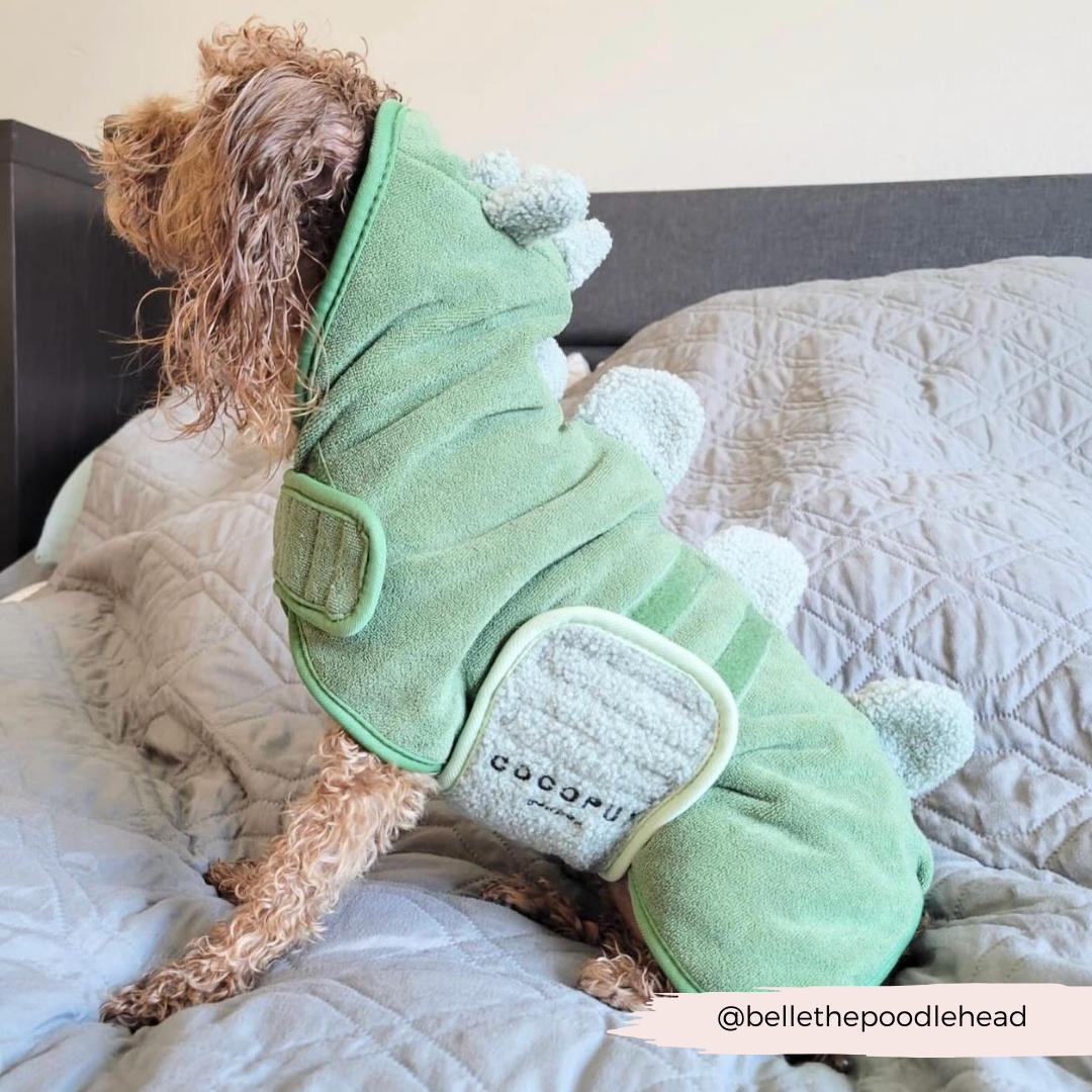 Cocopup London - Dinopup Drying Robe