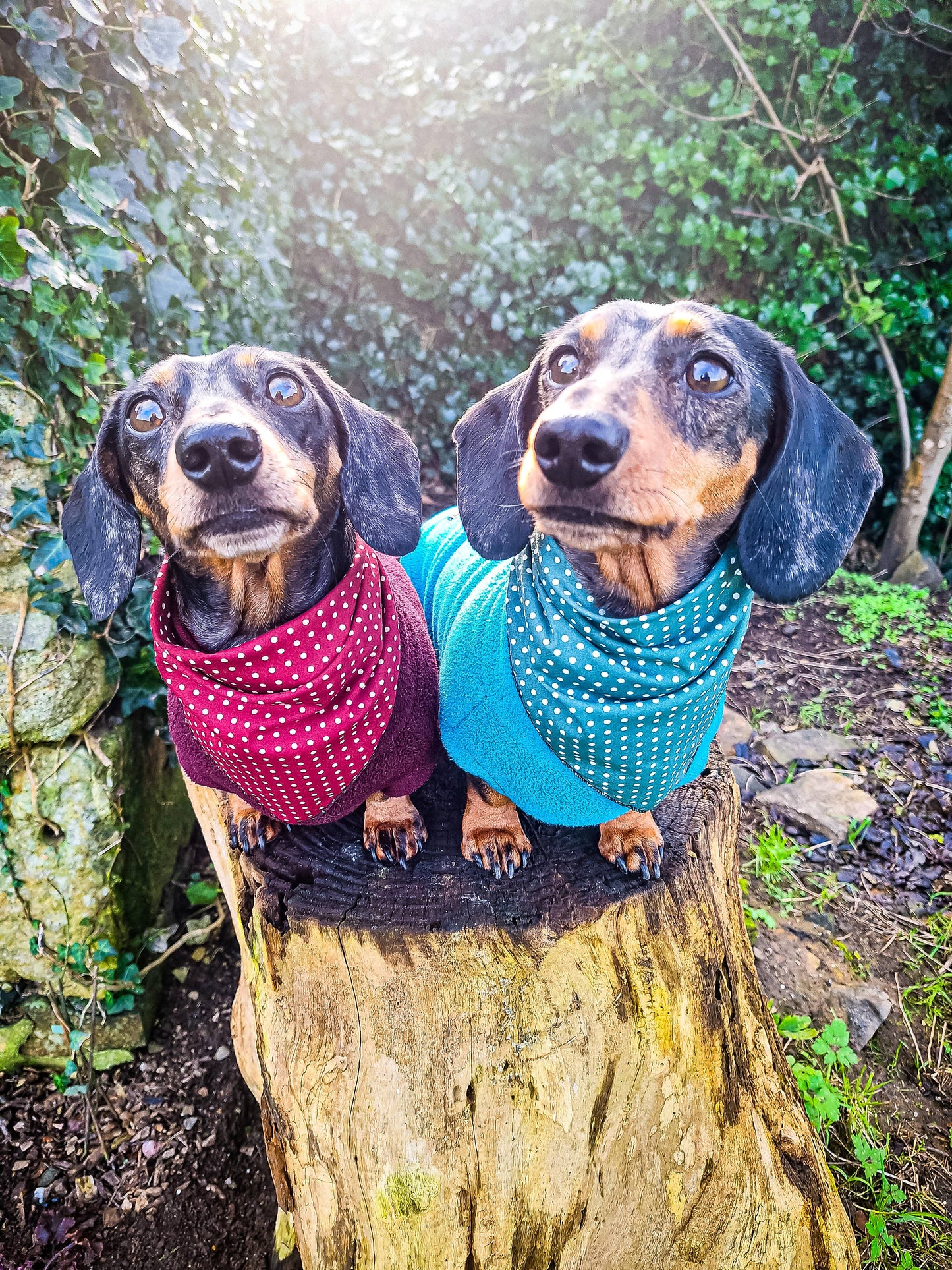 Pet Pooch Boutique - Olde English Red Polka Dot Dog Bandana (classic) - Handmade