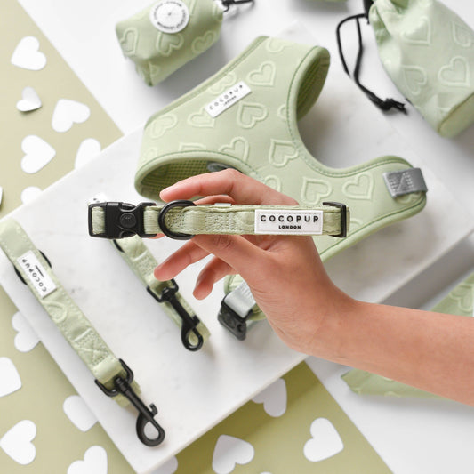 Cocopup London - Luxe Collar - Sage Heart