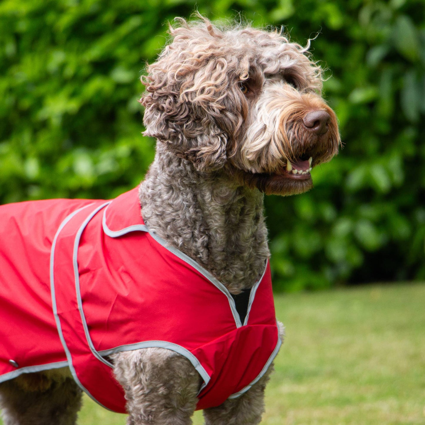Ancol Pet Products Ltd - Stormguard Soft Shell  Dog Coat Bordeaux XS-XXL