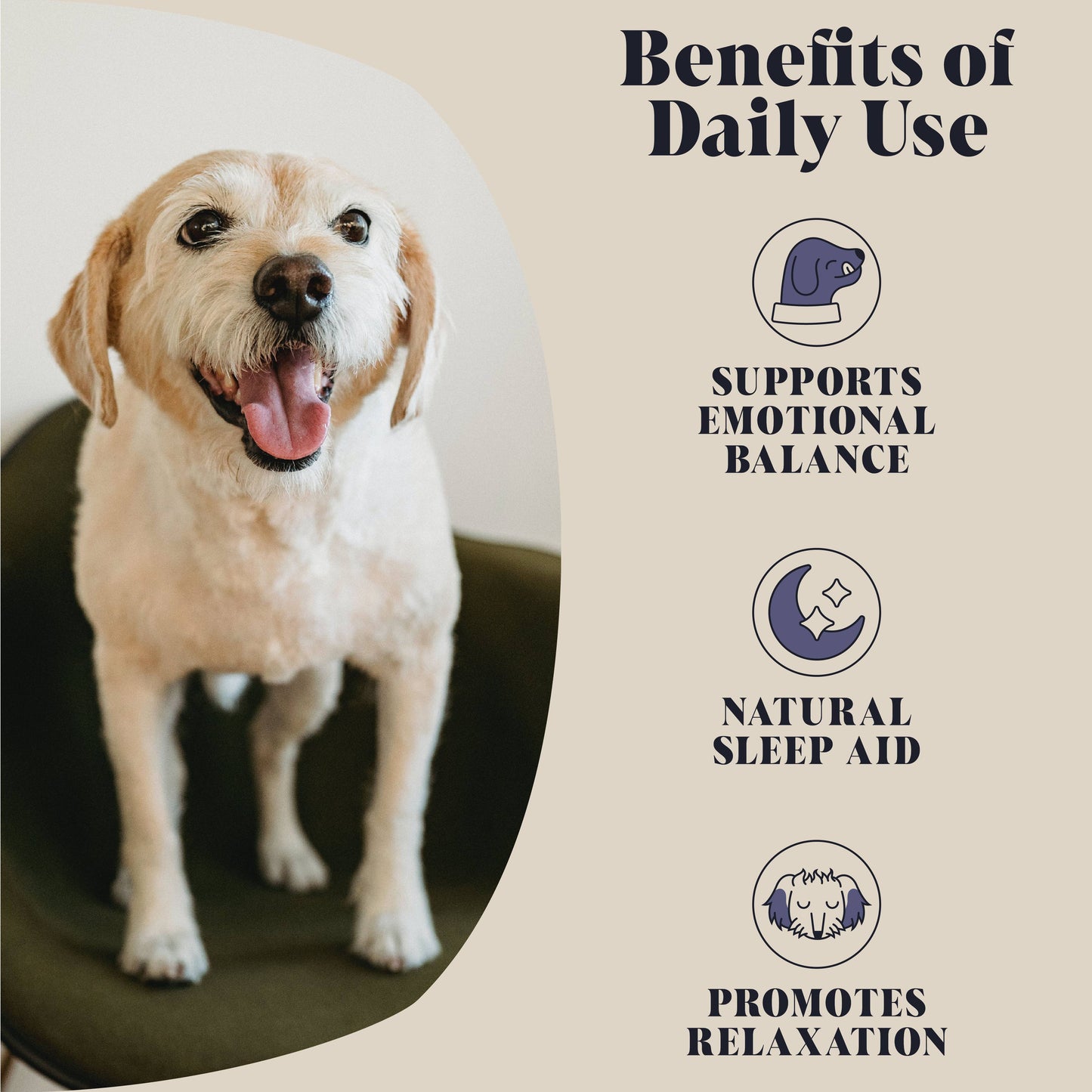 Hackney Dog House - Calming Goats Milk Powder for Dogs | Makes Twelve Pints