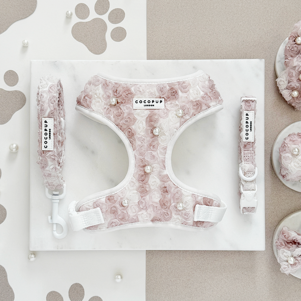 Cocopup London - Pearly Pup COLLAR