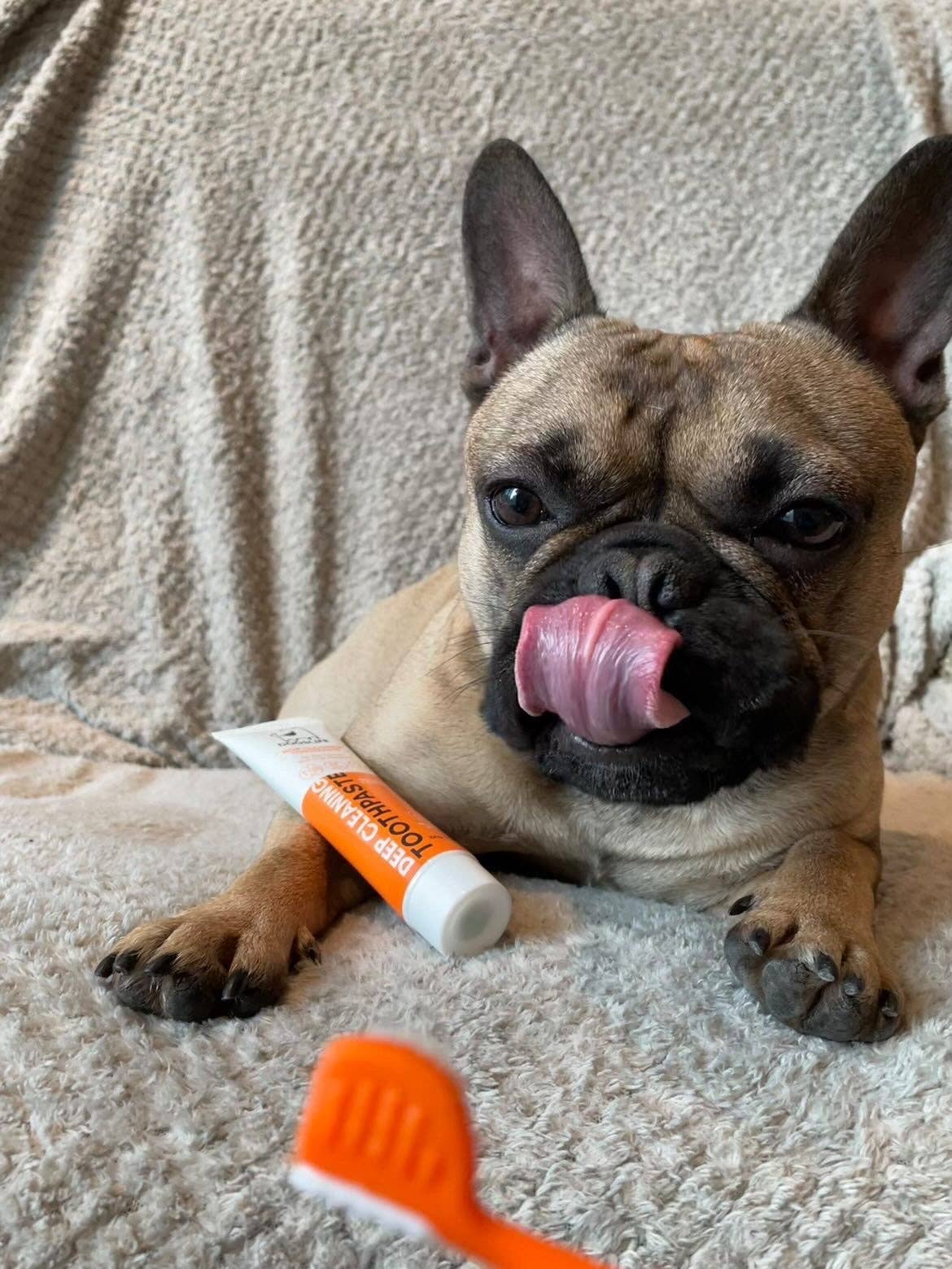 OurPetsLife - Dog Toothpaste and Toothbrush Set