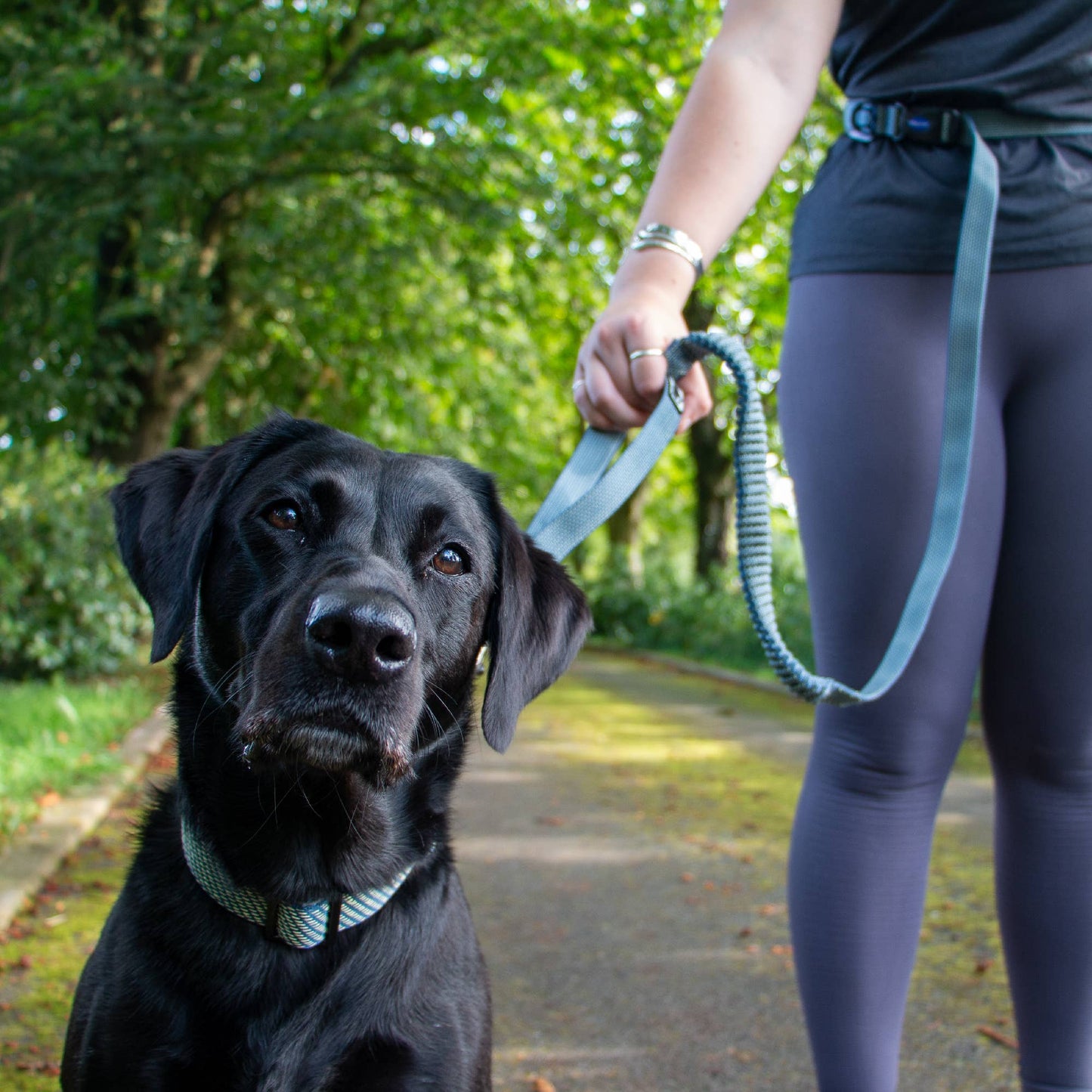Ancol Pet Products Ltd - Extreme+ Running Lead 180cm