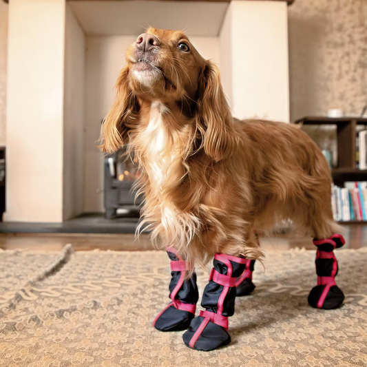 Delphi Dog Drying Sock