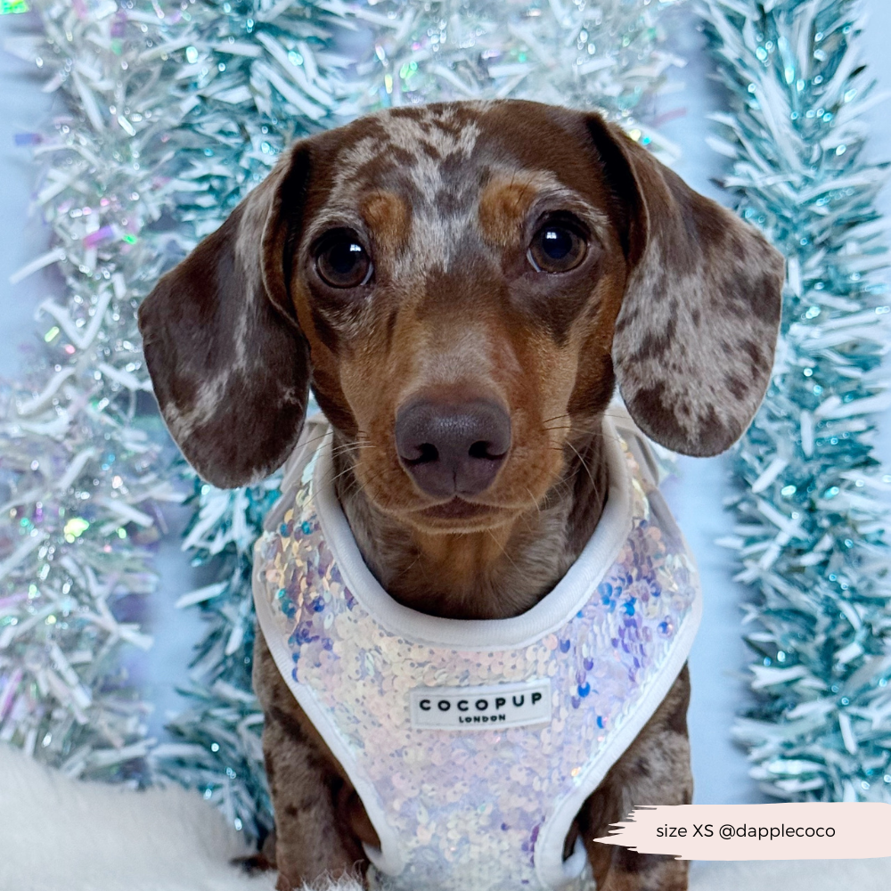 Cocopup London - LUXE Party Holographic Sequin HARNESS