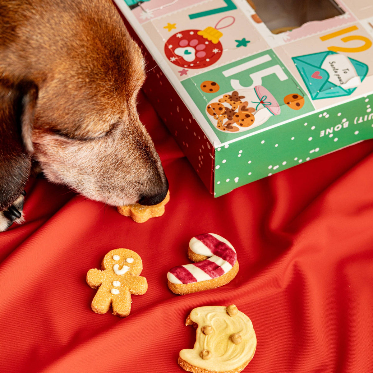 Fluff & Crumble - Christmas Advent Calendar for Dogs