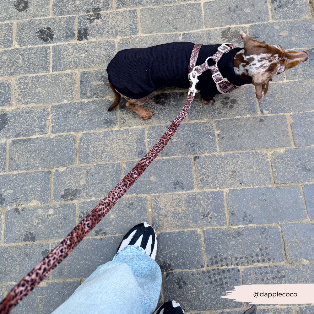 Cocopup London - Quilted Leopard Pup Lead