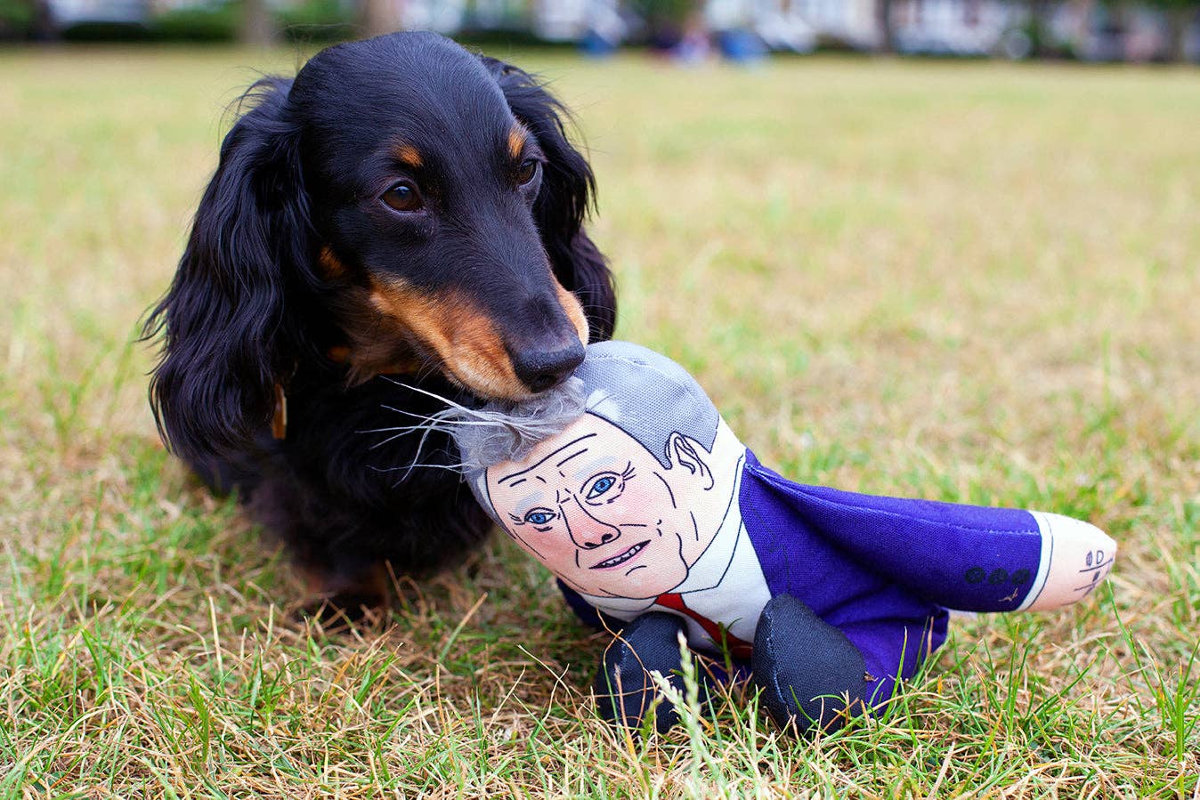Pet Hates Toys - Keir dog toy