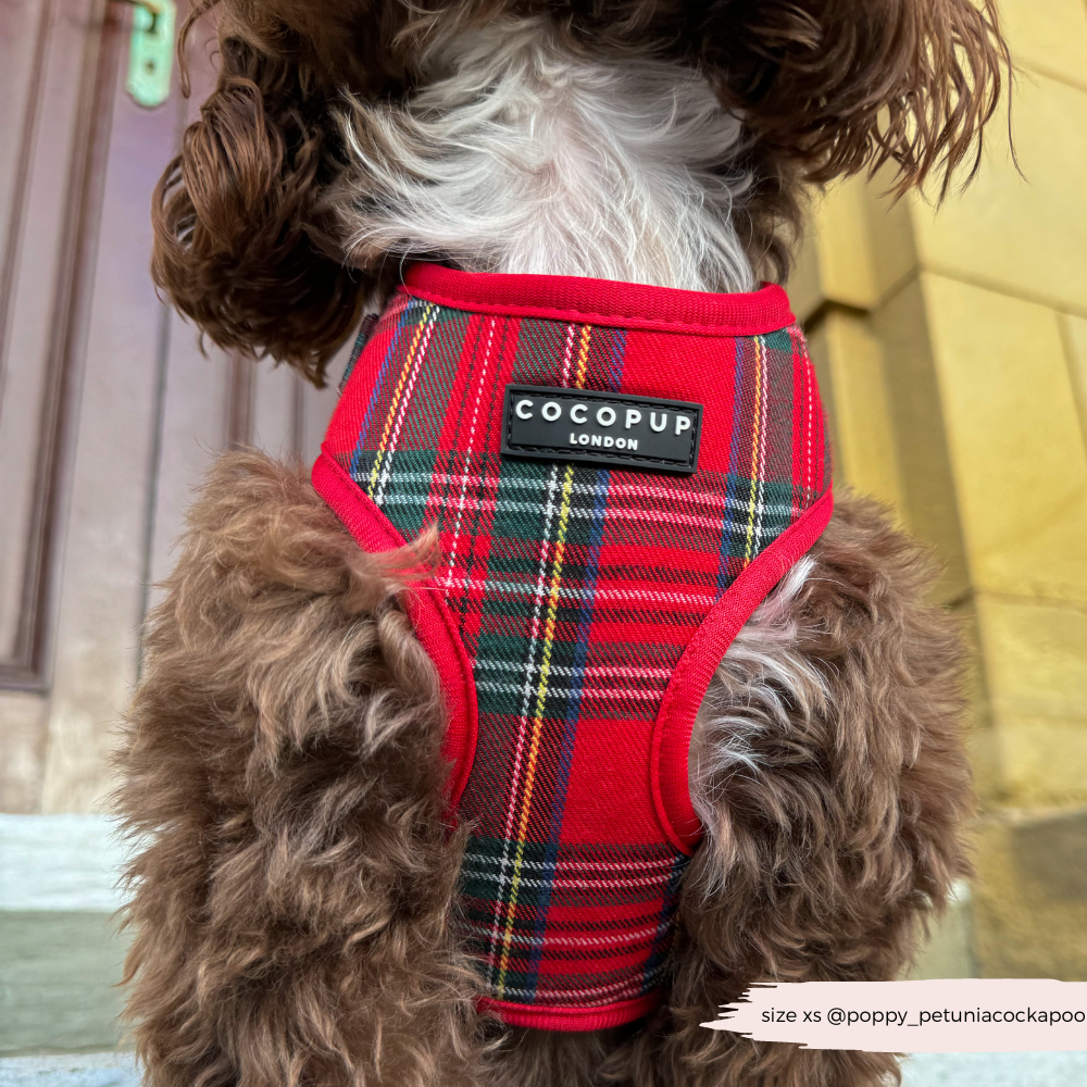 Cocopup London - Tartan Adjustable Neck HARNESS