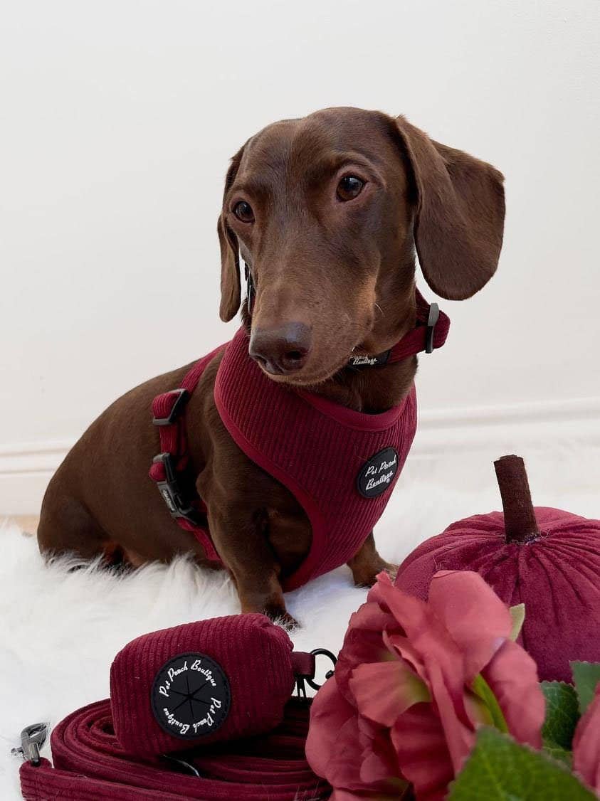 Pet Pooch Boutique - Burgundy Red Cord Collar