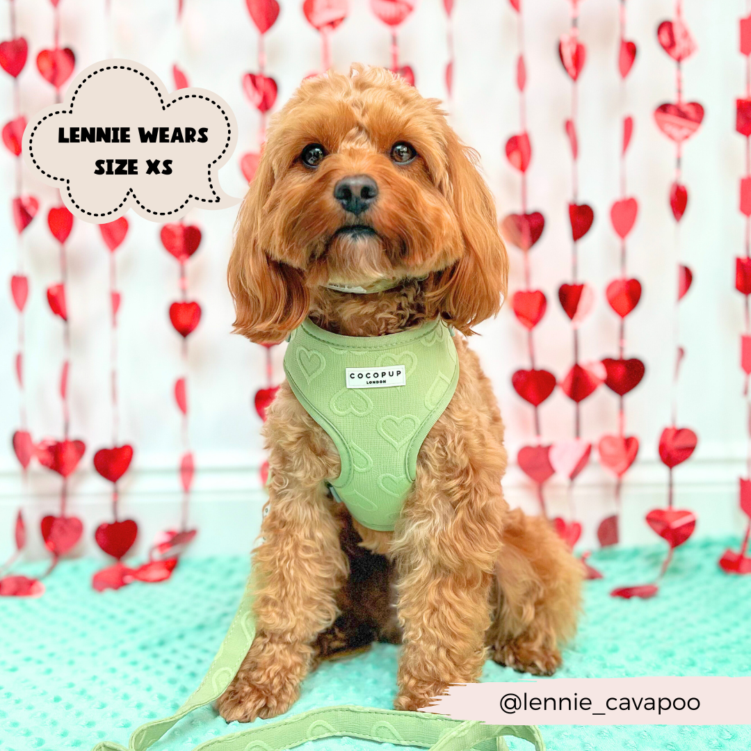 Cocopup London - Luxe Adjustable Neck Harness - Sage Heart